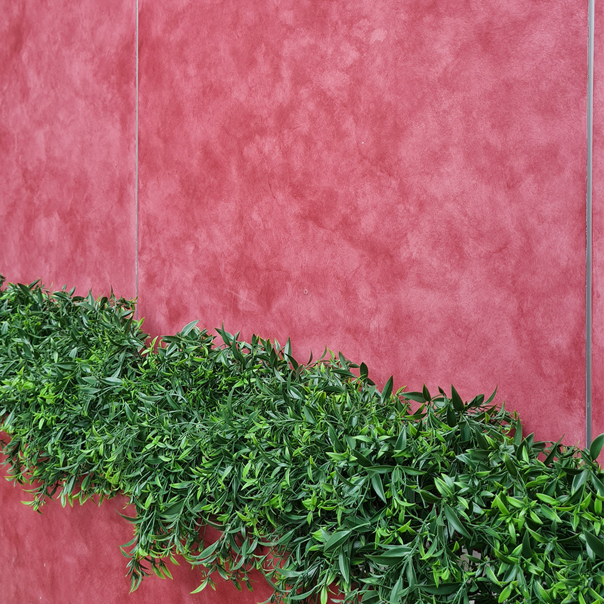 Deco Wash Decopaint